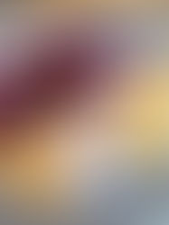 Coconut Crepes with Blended Berries and Coconut Whip Cream