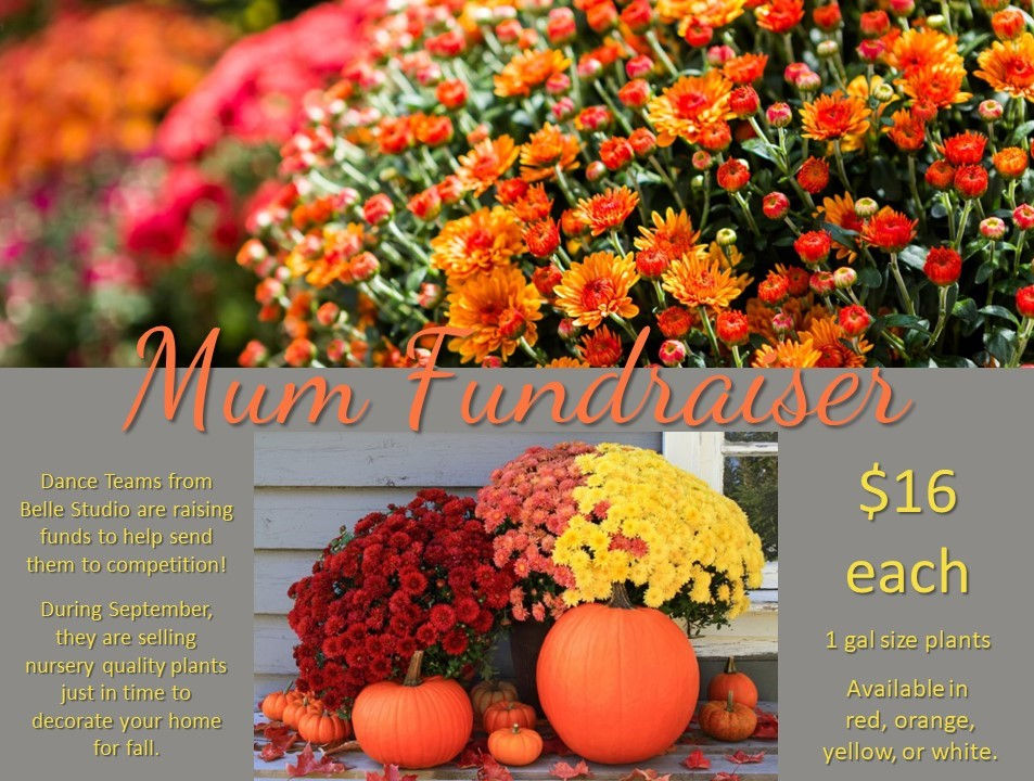 Mum Fundraiser - Competition Dance Teams