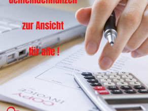 Was passiert mit meinen Steuergeldern? Kann und darf ich mitentscheiden?