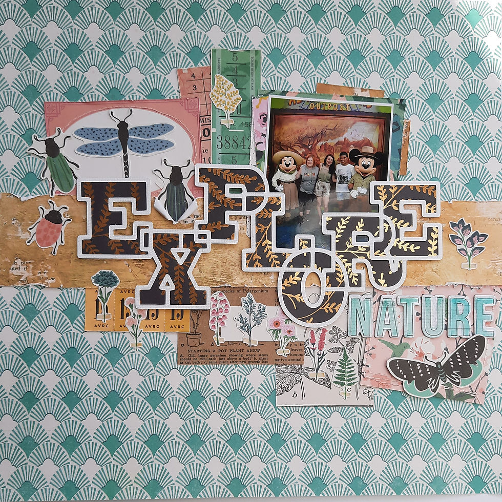 Explore nature layout
