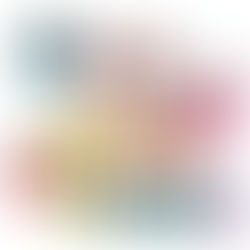 Paige Evans Silhouette Design Team