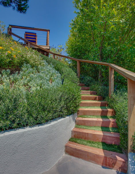 IMG_1441_Blended1-Edit