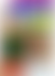 #CHC Nº 33: MEDIDAS ANTIGUAS DE CATRAL Y VEGA BAJA