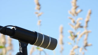 Enhancing Documentaries Through Sound Design in Documentaries