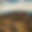 Untitled design-2.png