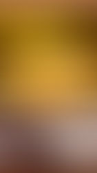 A PUMPKIN JUICE NIGHTCAP...