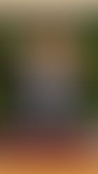 MERRY CHRISTMAS/HAPPY HOLIDAYS