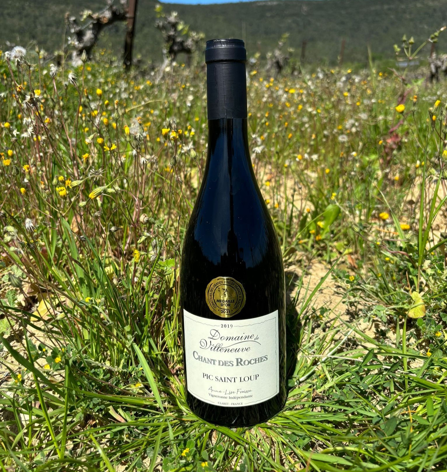 Chant des roches rouge AOP Languedoc Pic Saint Loup