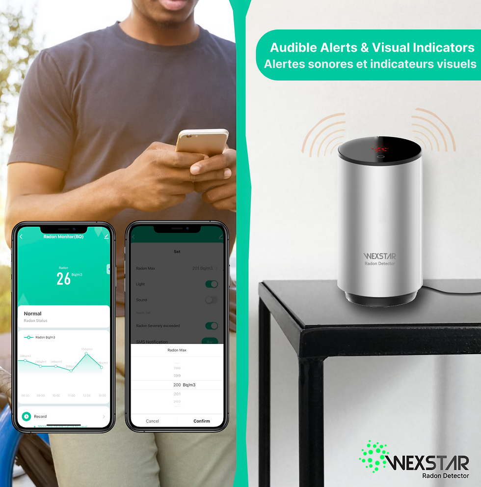 Thumbnail: Wexstar Smart Radon Gas Detector