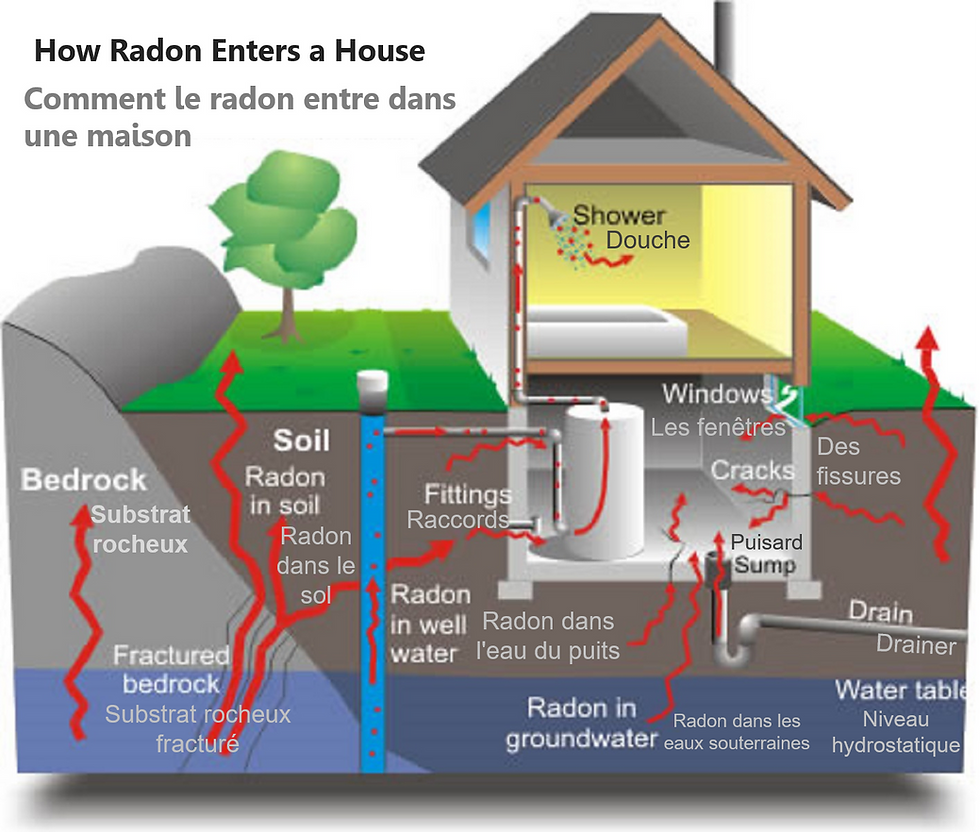 Thumbnail: Wexstar Smart Radon Gas Detector