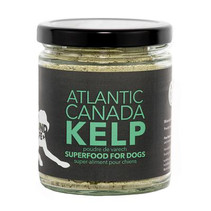 AtlanticCanadaKelp02_400x.jpeg