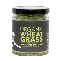 OrganicWheatGrass02_400x.jpeg