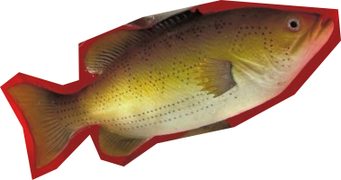 fish cutout.png