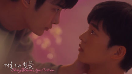 Cherry Blossom After Winter (SUB ITA)