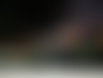 Realiza gobierno de Pepe Chedraui mantenimiento integral de la Fuente de Santa Anita*