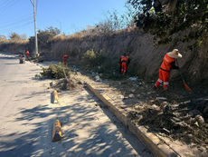 Gobierno de Pepe Chedraui fortalece la imagen urbana con intervención en Bulevar Carmelitas