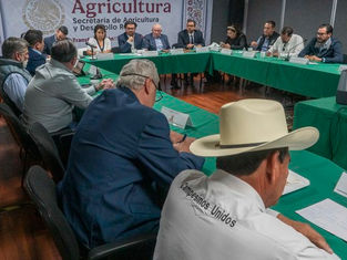 Acuerdan comercializadores con productoras y productores de maíz compra inicial de 1.1 millones de toneladas en Sinaloa