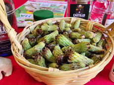 Festival de la Tetecha en Zapotitlán Salinas