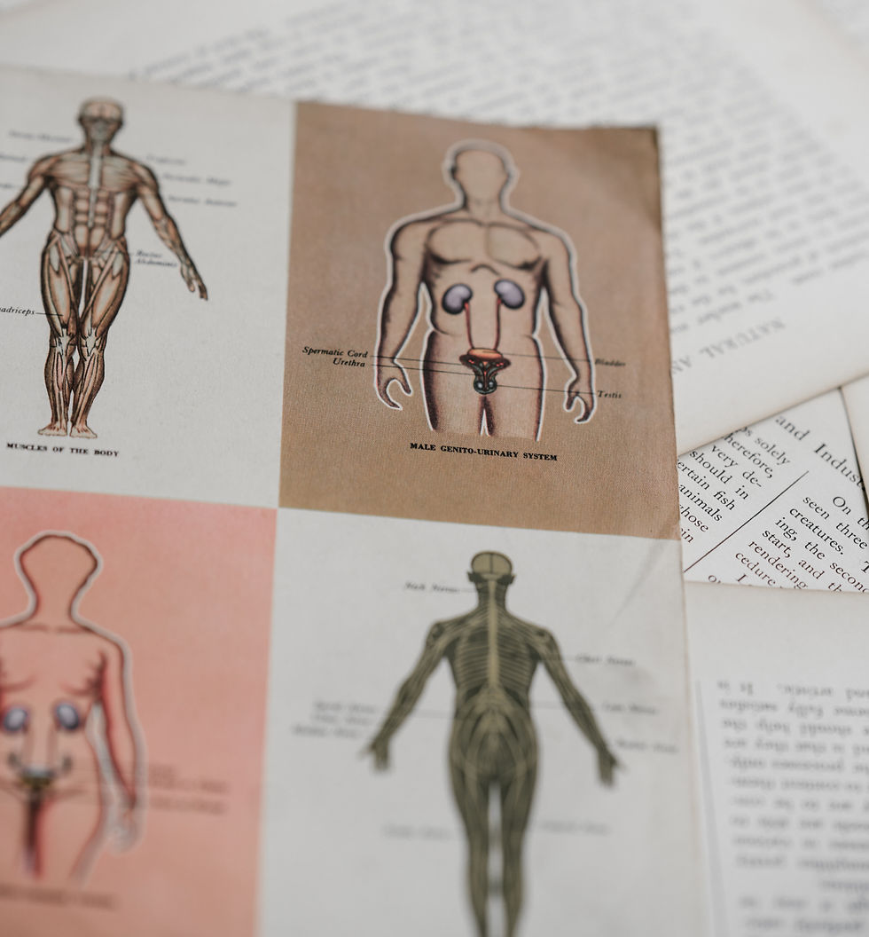 A text book shows 4 images of body systems, including muscular, organ, and meridian systems.