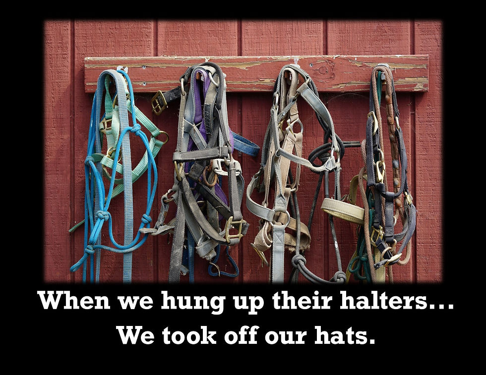 We hung up our hats.jpg