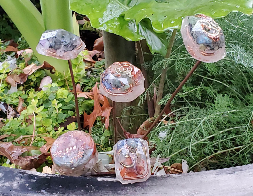 Garden Bits 3.jpg