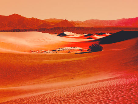 ARTISTIC MEDIA 101: A GUIDE FOR BUDDING ART COLLECTORS