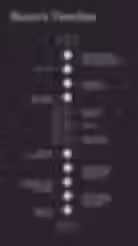 Buyer's Timeline Vertical