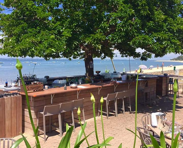 Liquéfier Intégrer Plusieurs le bikini arcachon carte menu Déformer