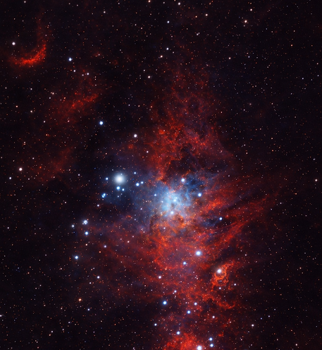 NGC 2264 - Christmas Tree Cluster