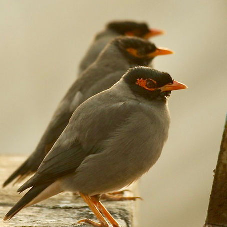 Day Two - Characters: A Gift