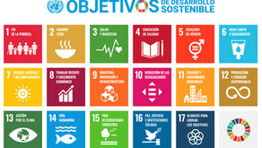 Javier Trespalacios en los ODS, ODD, y SDG