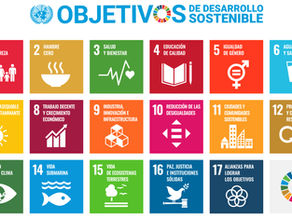 Javier Trespalacios en los ODS, ODD, y SDG