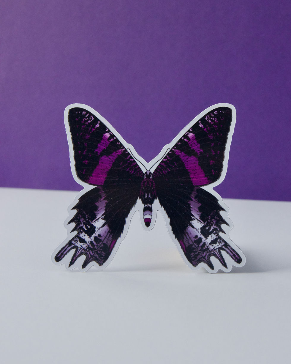 Sticker of a moth in the asexual flag color palette