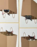 all 12 variations of cat in paper bag print