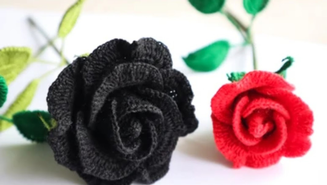 Red and Black roses