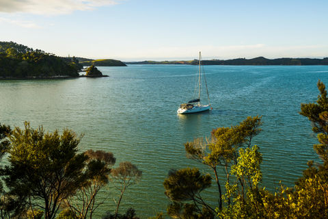 Beach, trees, boat on the sea