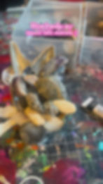 Thumbnail:  Ocean Seat