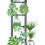 Thumbnail: Plant Love in Blue - Journal