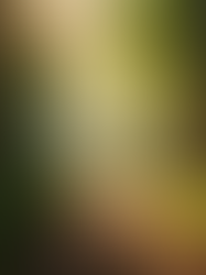 Life: A reflection of my 2025 and my interpretation of what The Lord is instructing me