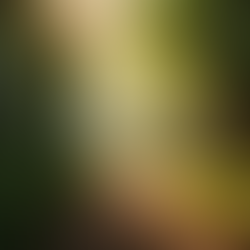 Life: A reflection of my 2025 and my interpretation of what The Lord is instructing me