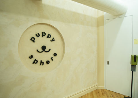114 W27th Street (Puppy Sphere)