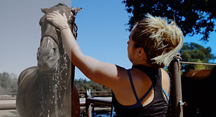 color grading pic0.jpg