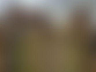 Torneo di beneficenza "L'isola che c'è" 17/12/2017