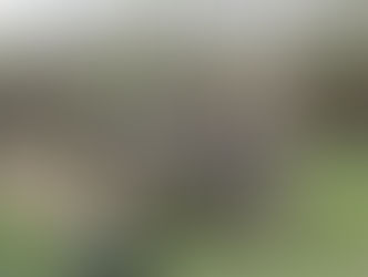 Milsim Ferrara fazione americana