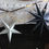 Thumbnail: Large Grey Paper Star