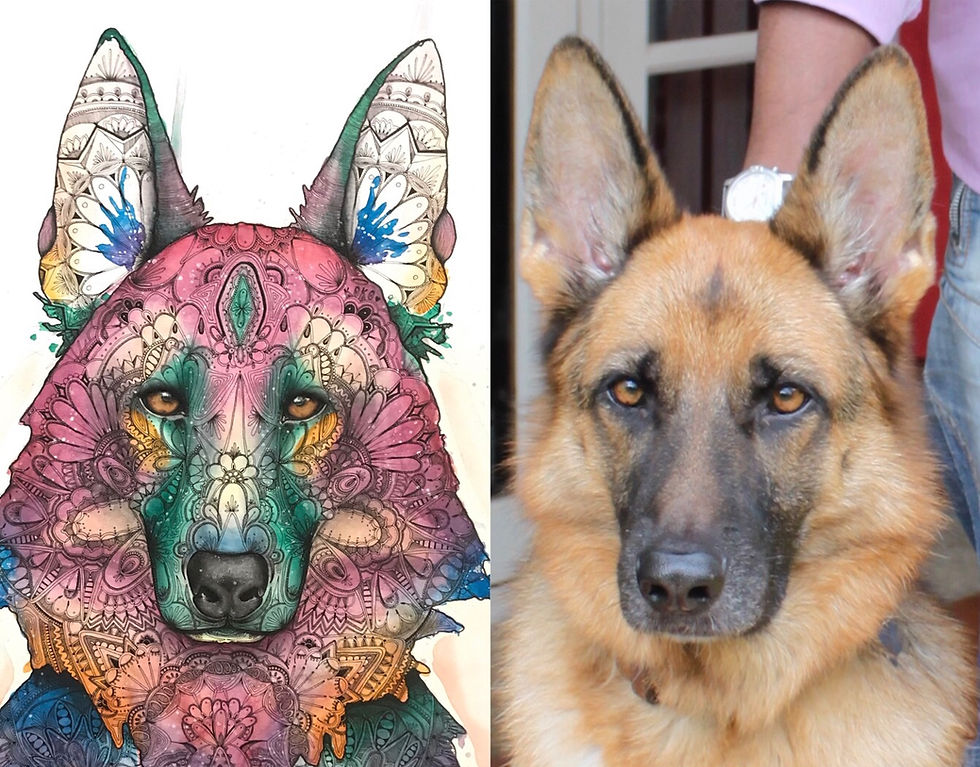 Thumbnail: LIMITED EDITION PRINT - German Shepherd, Watercolor, Pen&Ink by Haylee M. Shoop
