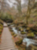 St-Nectans-Glen-Cornwall-13.jpg
