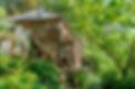 DSC3355-scaled.jpg