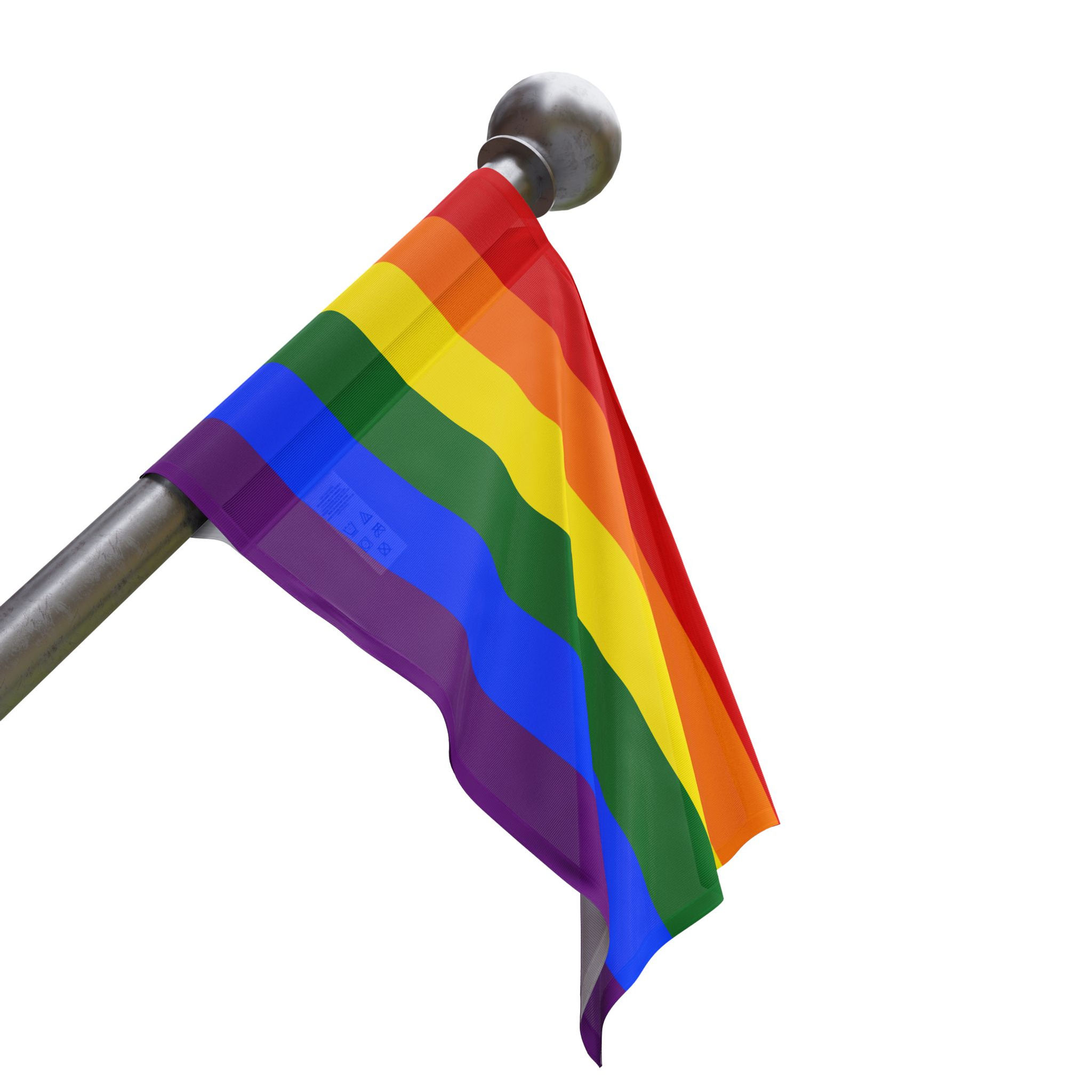 Gay Flag