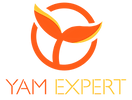 Yam Expert New Version Final 2.png